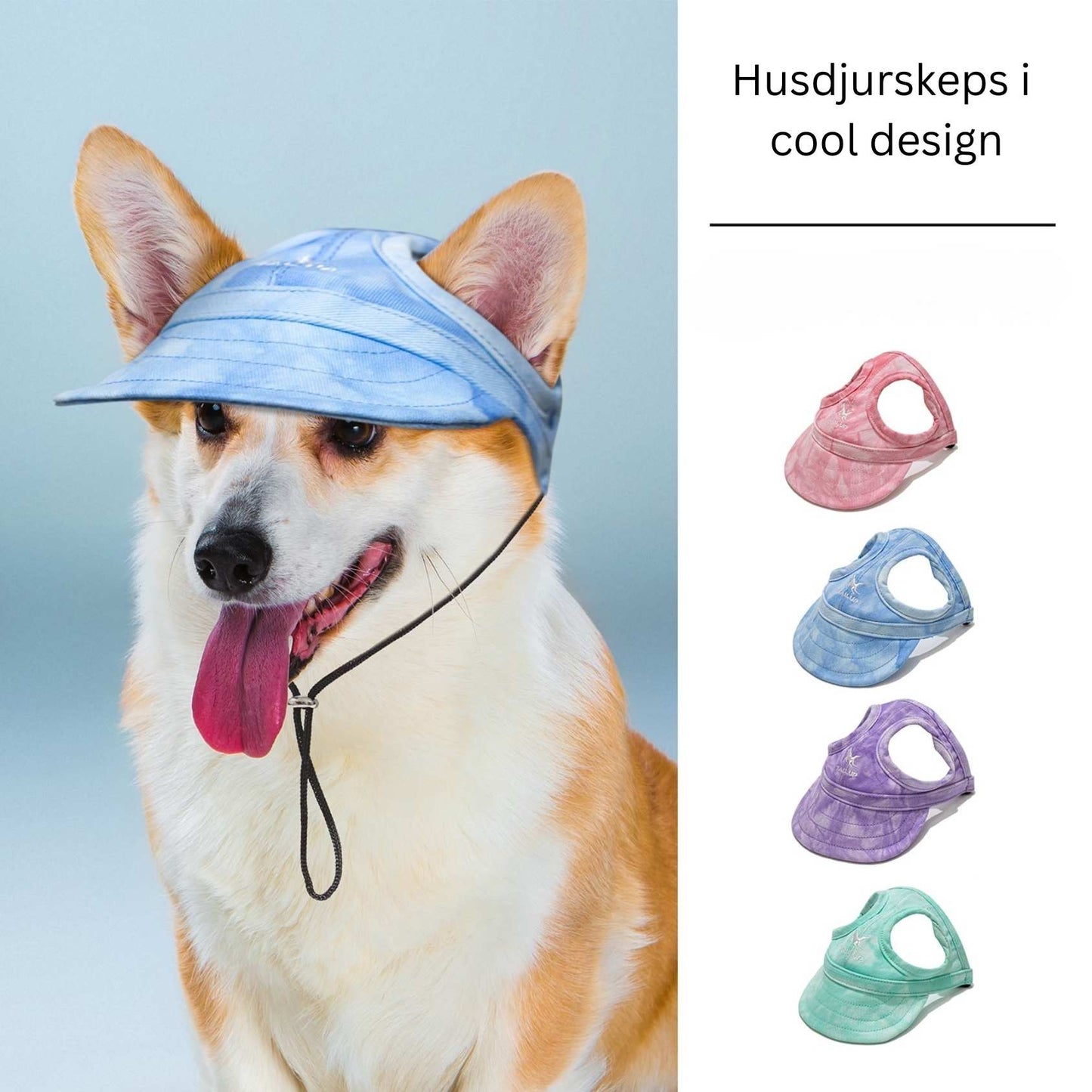 MOLNKEPS - Husdjurskeps